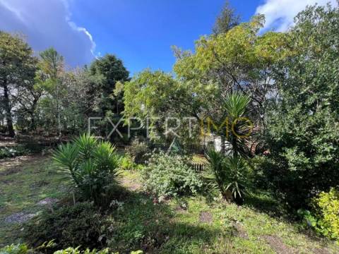 Quinta com moradia T3, anexos, cavalariças em 20000m2 de terreno, São Silvestre, Coimbra