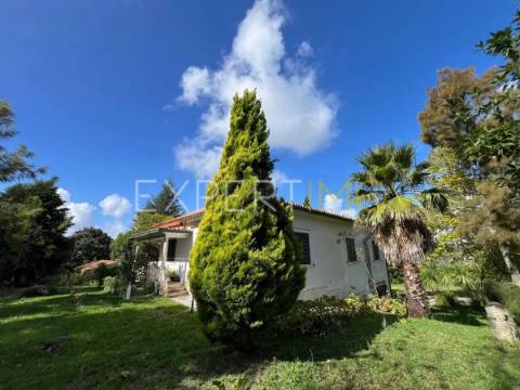 Quinta com moradia T3, anexos, cavalariças em 20000m2 de terreno, São Silvestre, Coimbra