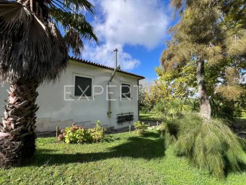 Quinta com moradia T3, anexos, cavalariças em 20000m2 de terreno, São Silvestre, Coimbra