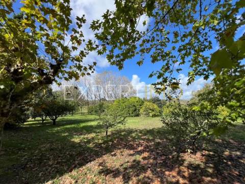 Quinta com moradia T3, anexos, cavalariças em 20000m2 de terreno, São Silvestre, Coimbra