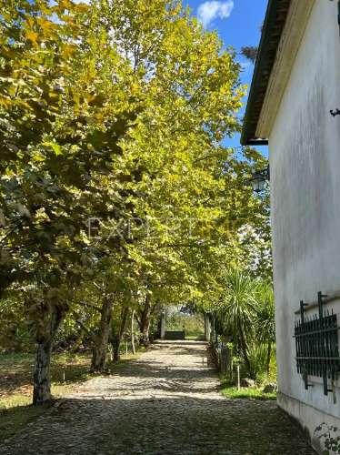 Quinta com moradia T3, anexos, cavalariças em 20000m2 de terreno, São Silvestre, Coimbra