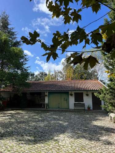 Quinta com moradia T3, anexos, cavalariças em 20000m2 de terreno, São Silvestre, Coimbra