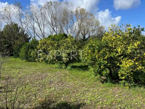 Quinta com moradia T3, anexos, cavalariças em 20000m2 de terreno, São Silvestre, Coimbra