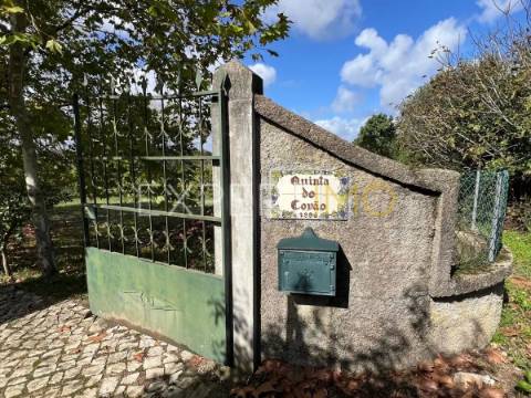 Quinta com moradia T3, anexos, cavalariças em 20000m2 de terreno, São Silvestre, Coimbra