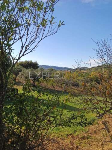 Moradia para renovar Pombal / Distrito de Leiria