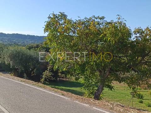 Moradia para renovar Pombal / Distrito de Leiria