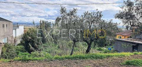 Moradia I Terreno 300 m2 Viabilidade Construção Moradia Unifamiliar I  Coimbra