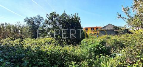 Moradia I Terreno 300 m2 Viabilidade Construção Moradia Unifamiliar I  Coimbra