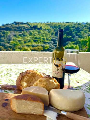 Moradia no Douro - Casa de Refúgio - Investimento - Pronta a Viver e Rentabilizar
