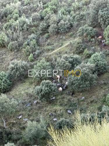 Moradia no Douro - Casa de Refúgio - Investimento - Pronta a Viver e Rentabilizar