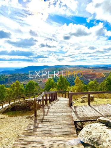 Moradia no Douro - Casa de Refúgio - Investimento - Pronta a Viver e Rentabilizar