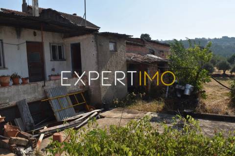 Moradia T2 para restaurar + Moradia T1 também para restaurar