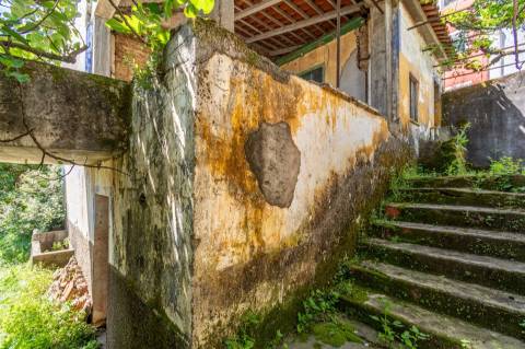 Apartamento T5 Venda em Sertã,Sertã