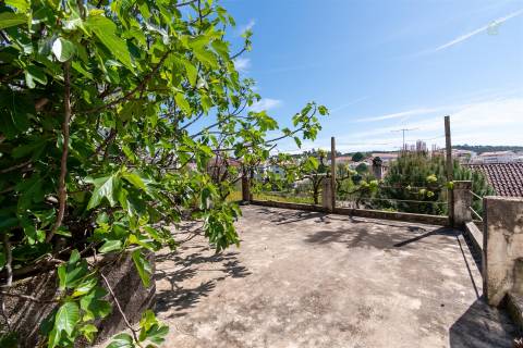 Apartamento T5 Venda em Sertã,Sertã