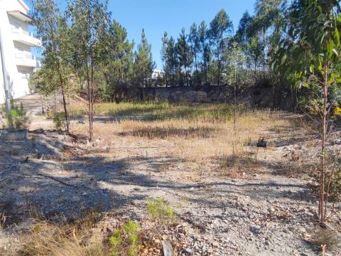Lote de Terreno  Venda em Vila de Rei,Vila de Rei