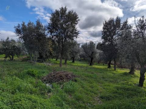 Moradia Isolada T2 Venda em Pedrógão Grande,Pedrógão Grande