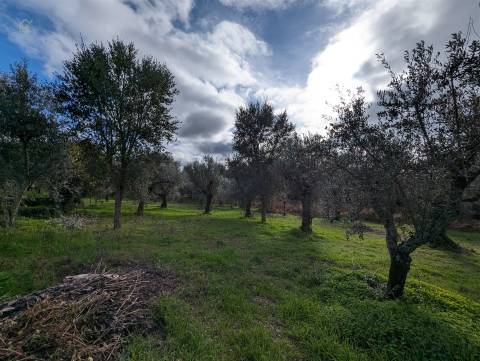 Moradia Isolada T2 Venda em Pedrógão Grande,Pedrógão Grande