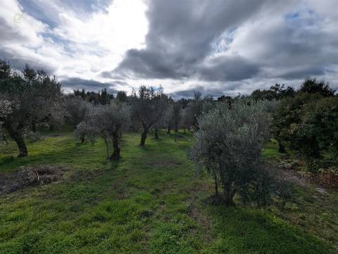 Moradia Isolada T2 Venda em Pedrógão Grande,Pedrógão Grande