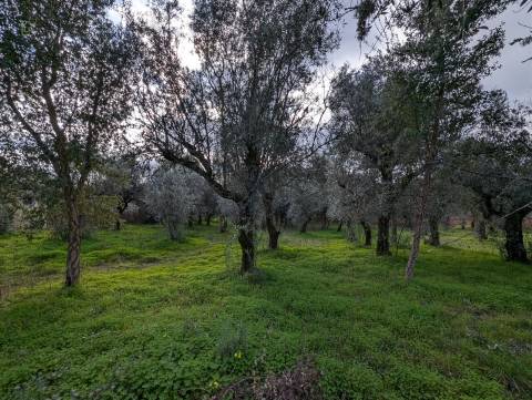 Moradia Isolada T2 Venda em Pedrógão Grande,Pedrógão Grande