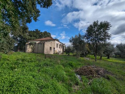 Moradia Isolada T2 Venda em Pedrógão Grande,Pedrógão Grande