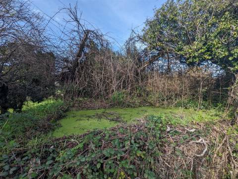 Terreno Para Construção  Venda em Pedrógão Grande,Pedrógão Grande