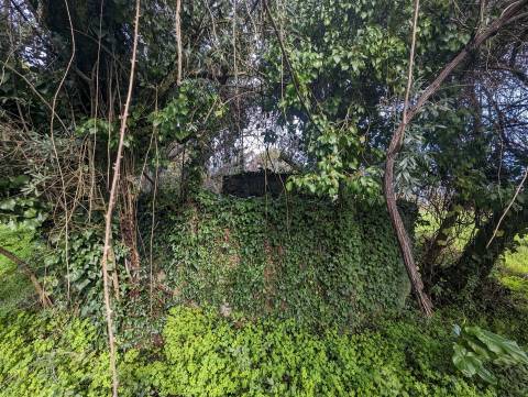 Terreno Para Construção  Venda em Pedrógão Grande,Pedrógão Grande