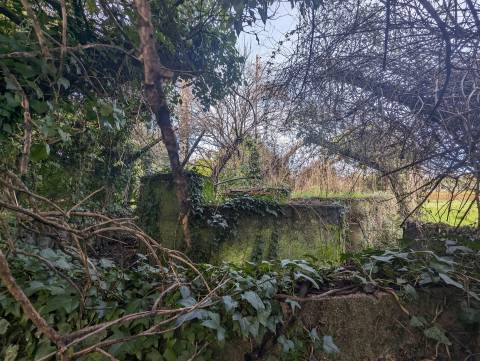 Terreno Para Construção  Venda em Pedrógão Grande,Pedrógão Grande