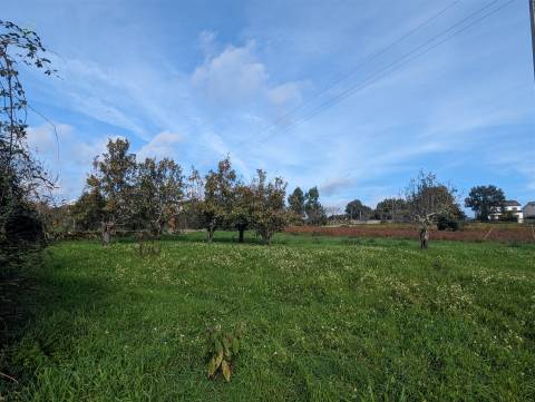 Terreno Para Construção  Venda em Pedrógão Grande,Pedrógão Grande