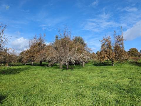 Terreno Para Construção  Venda em Pedrógão Grande,Pedrógão Grande
