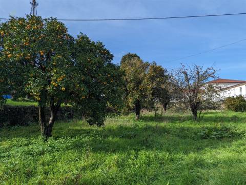 Terreno Para Construção  Venda em Pedrógão Grande,Pedrógão Grande