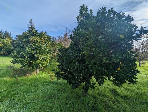 Terreno Para Construção  Venda em Pedrógão Grande,Pedrógão Grande