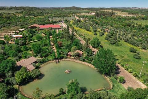 Restaurante  Venda em Abrantes (São Vicente e São João) e Alferrarede,Abrantes