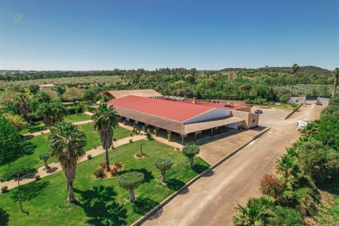 Restaurante  Venda em Abrantes (São Vicente e São João) e Alferrarede,Abrantes
