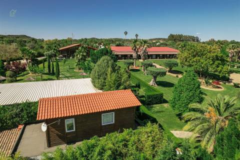 Restaurante  Venda em Abrantes (São Vicente e São João) e Alferrarede,Abrantes