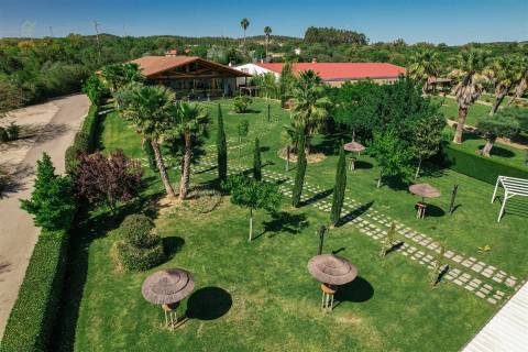 Restaurante  Venda em Abrantes (São Vicente e São João) e Alferrarede,Abrantes