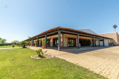 Restaurante  Venda em Abrantes (São Vicente e São João) e Alferrarede,Abrantes