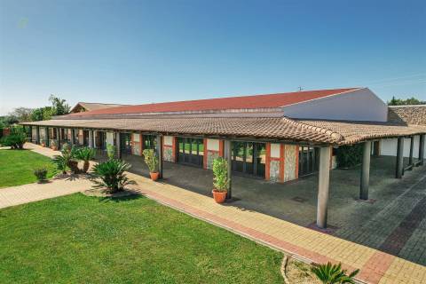 Restaurante  Venda em Abrantes (São Vicente e São João) e Alferrarede,Abrantes