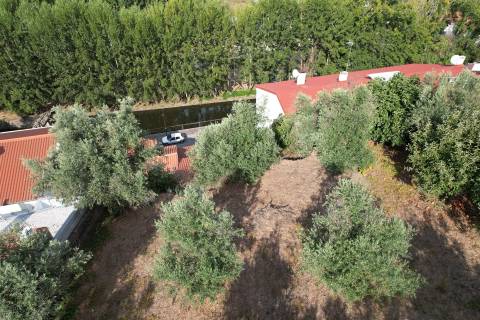 Moradia T2 Venda em Sertã,Sertã