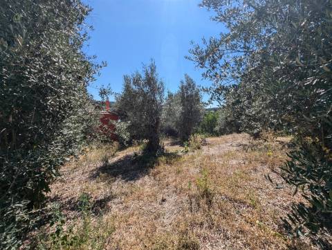 Moradia T2 Venda em Sertã,Sertã