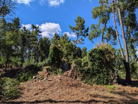 Terreno Para Construção  Venda em Cernache do Bonjardim, Nesperal e Palhais,Sertã