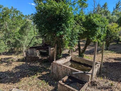 Terreno Para Construção  Venda em Cernache do Bonjardim, Nesperal e Palhais,Sertã