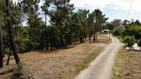 Terreno Para Construção  Venda em Cernache do Bonjardim, Nesperal e Palhais,Sertã