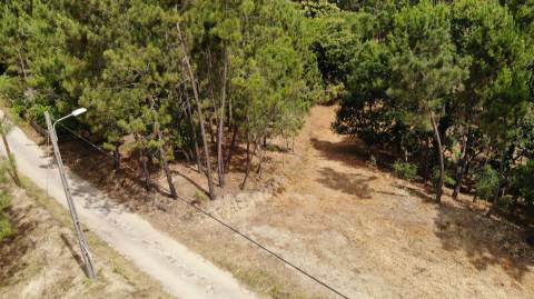 Terreno Para Construção  Venda em Cernache do Bonjardim, Nesperal e Palhais,Sertã