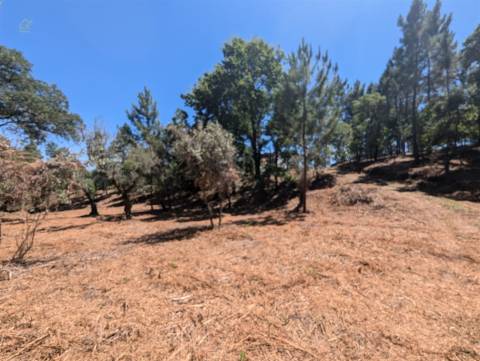 Terreno Para Construção  Venda em Cernache do Bonjardim, Nesperal e Palhais,Sertã