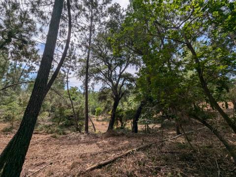 Terreno Para Construção  Venda em Cernache do Bonjardim, Nesperal e Palhais,Sertã