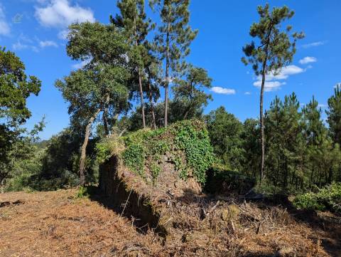 Terreno Para Construção  Venda em Cernache do Bonjardim, Nesperal e Palhais,Sertã