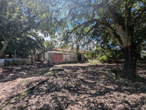 Quinta  Venda em Pedrógão Grande,Pedrógão Grande