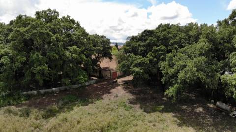 Quinta  Venda em Pedrógão Grande,Pedrógão Grande