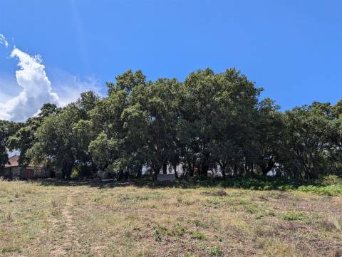 Quinta  Venda em Pedrógão Grande,Pedrógão Grande