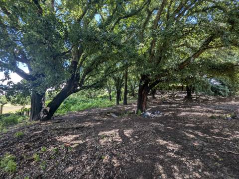 Quinta  Venda em Pedrógão Grande,Pedrógão Grande
